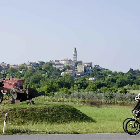 Apartman Marija Vižinada