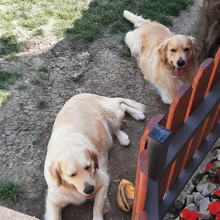 Appartement Marija *